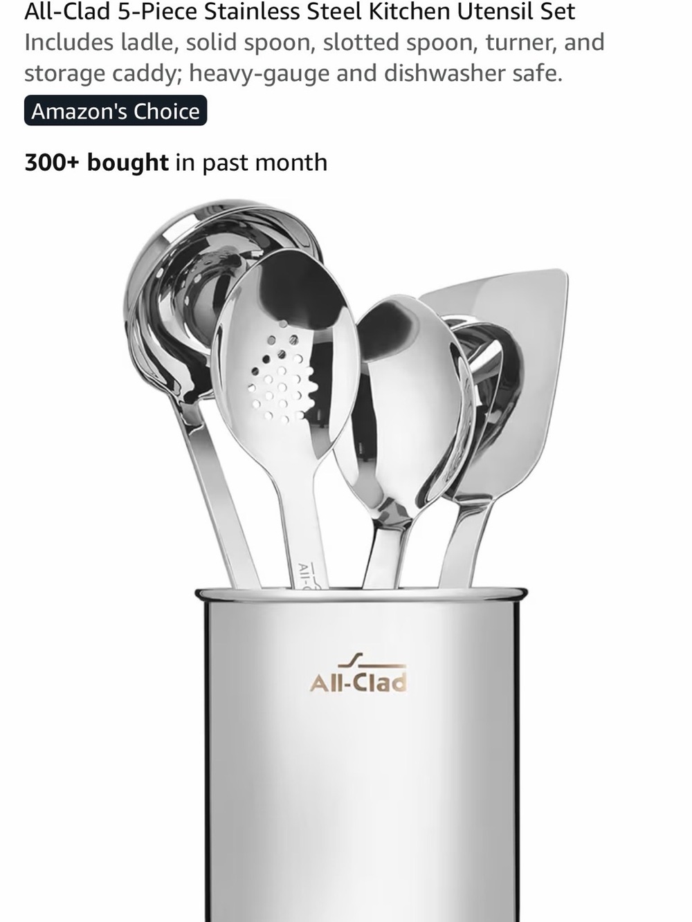 Brand New Stainless Steel 5-Piece Kitchen Utensil Set - Silver